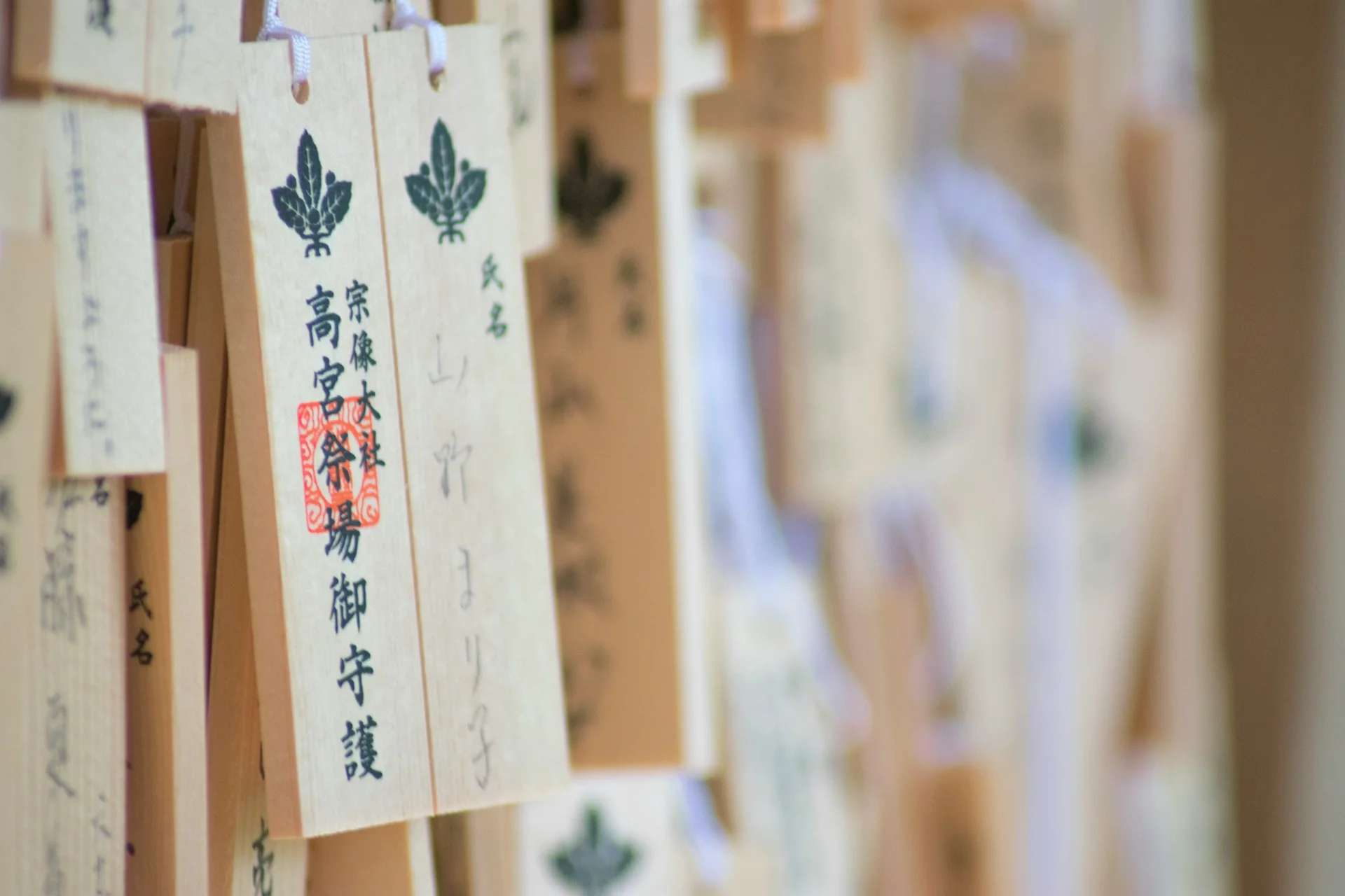 Japanese N5 Question Guide | Toddle Consultancy